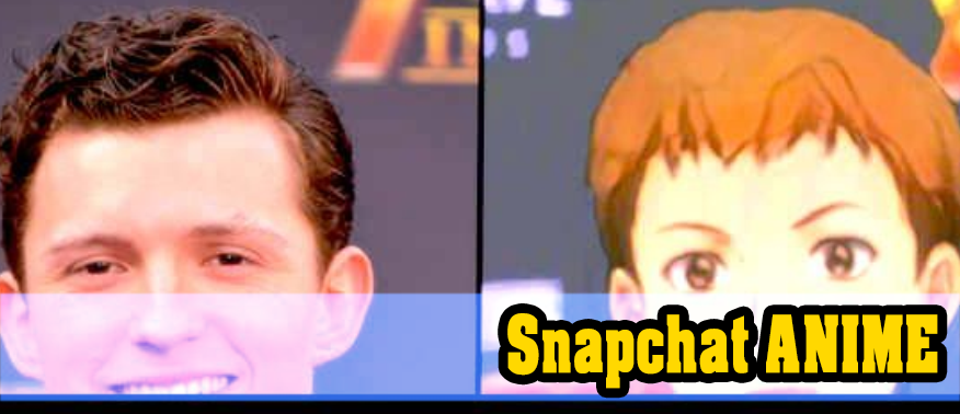 How to use the Anime Face Filter